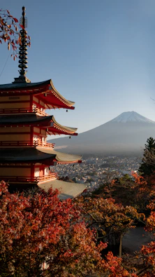 temple near trees during day