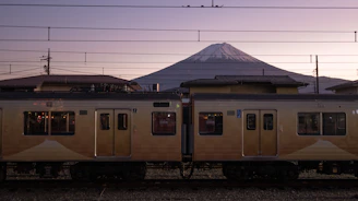 beige train during day
