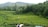 A lush green tea plantation set against a backdrop of rolling hills and dense forest. The neatly arranged tea bushes form a pattern across the landscape. In the foreground, part of a black car is visible on the right with a person and a white horse nearby. A small red sign is posted among the tea plants.