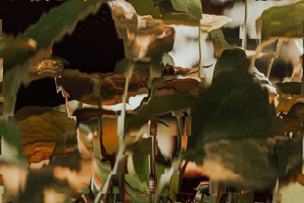 green leaf plant