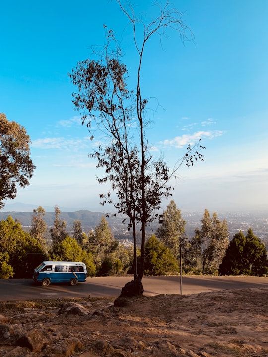 white and blue bus near road surrounded with green trees under blue and white sky in Addis Ababa Ethiopia