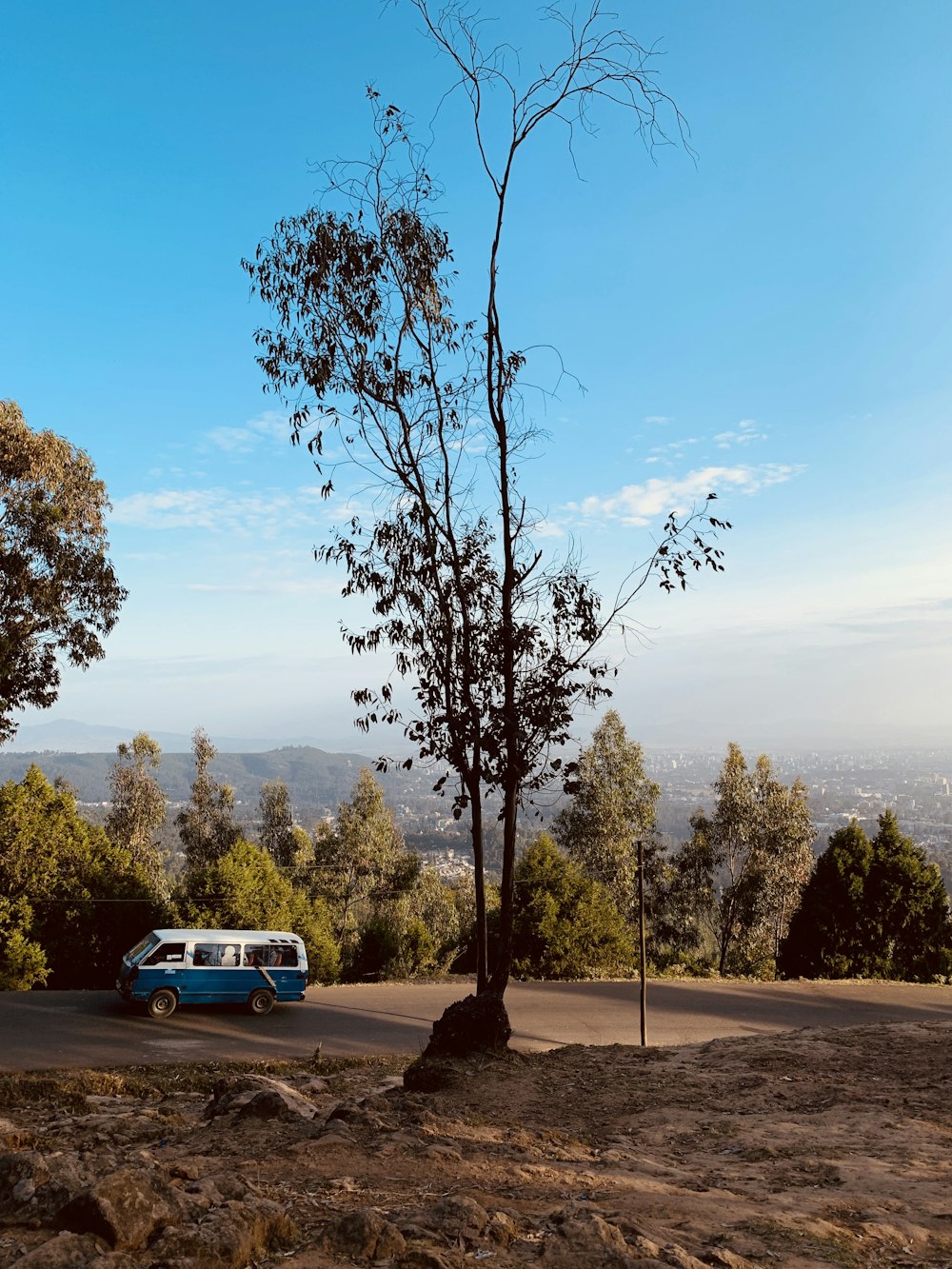 white and blue bus near road surrounded with green trees under blue and white sky