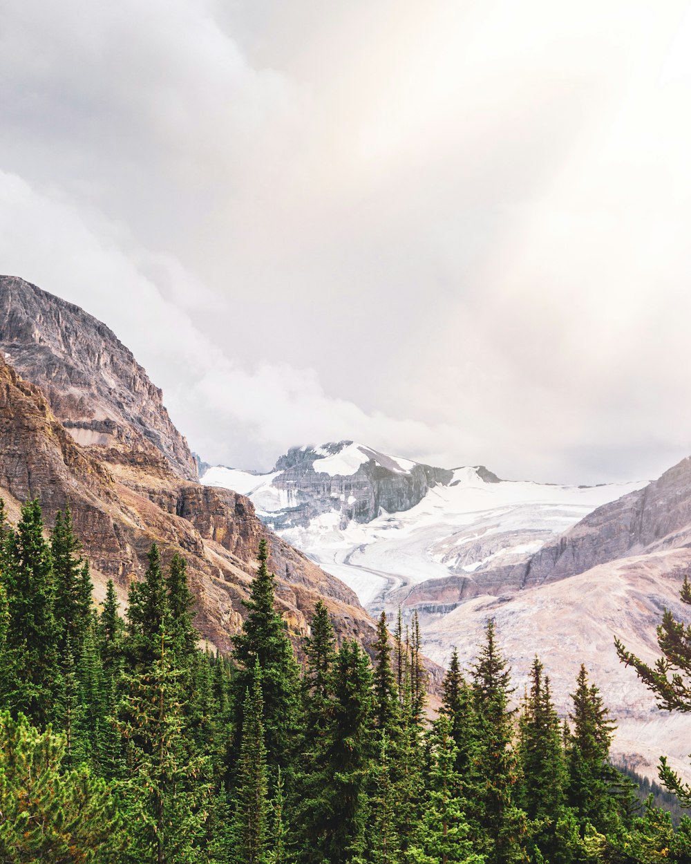 aerial photography of mountain covered with snow under white sky