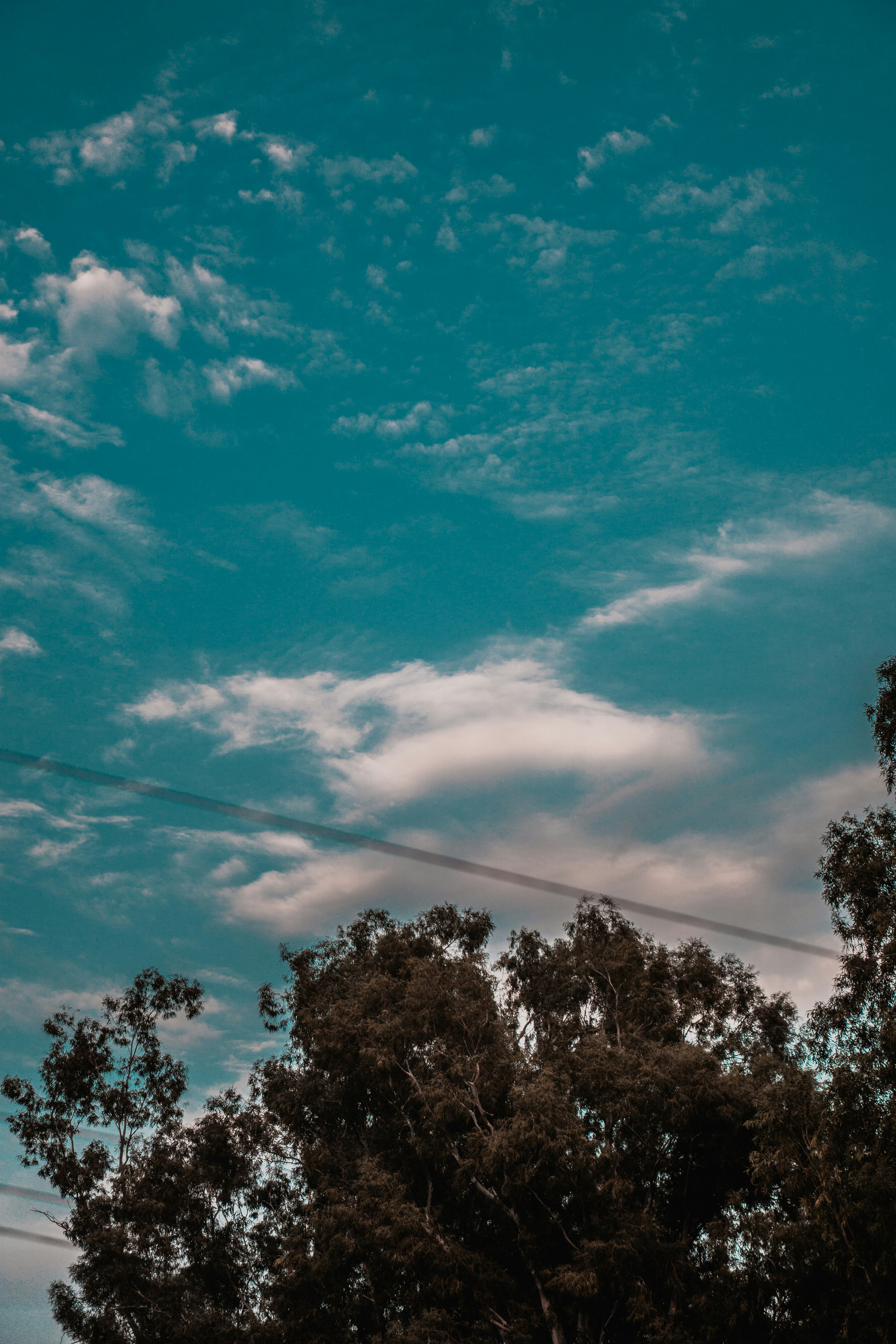 Photo by ashu_dadwal