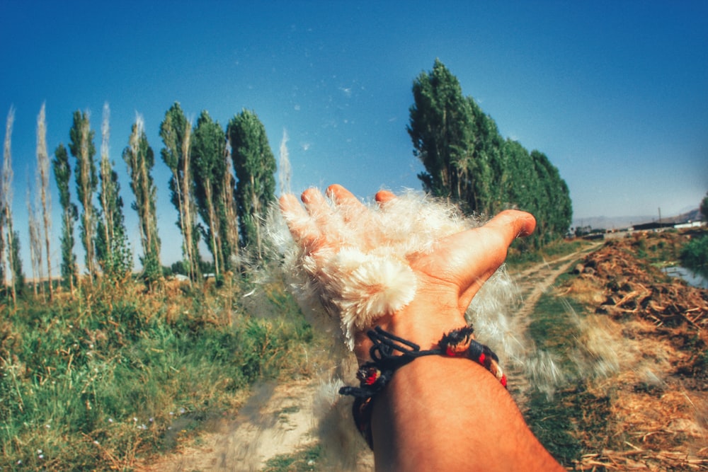 person hand with water