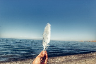 person holding feather near body of water