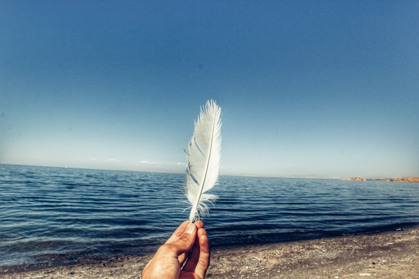 person holding feather near body of water