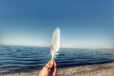 person holding feather near body of water