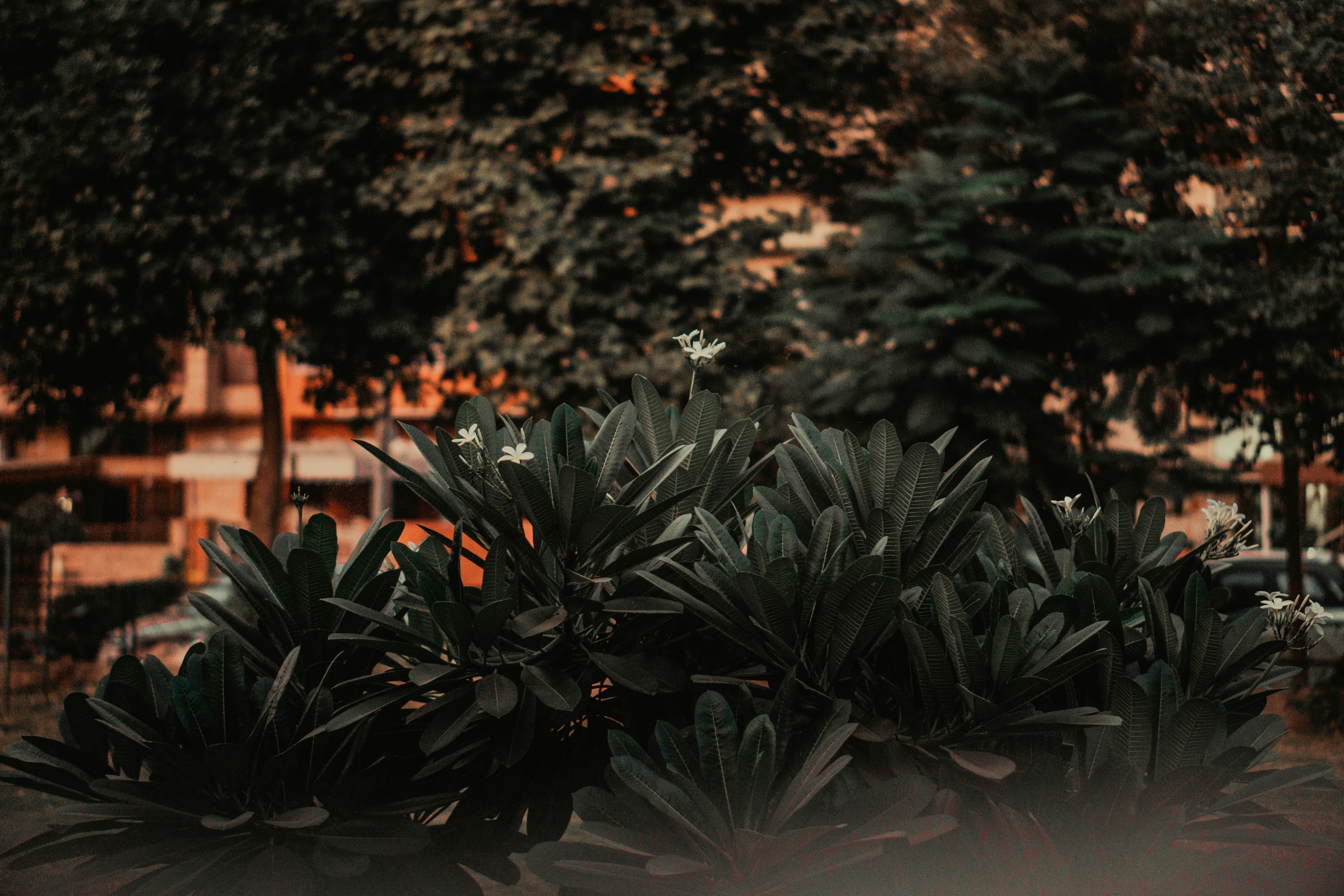 Photo by ashu_dadwal