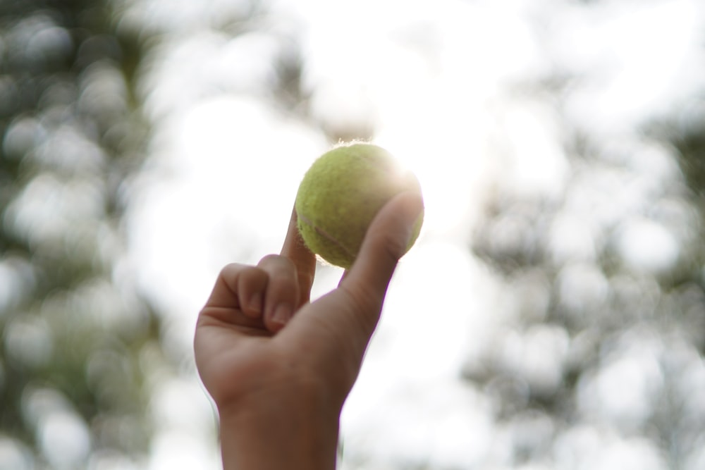 tennis ball