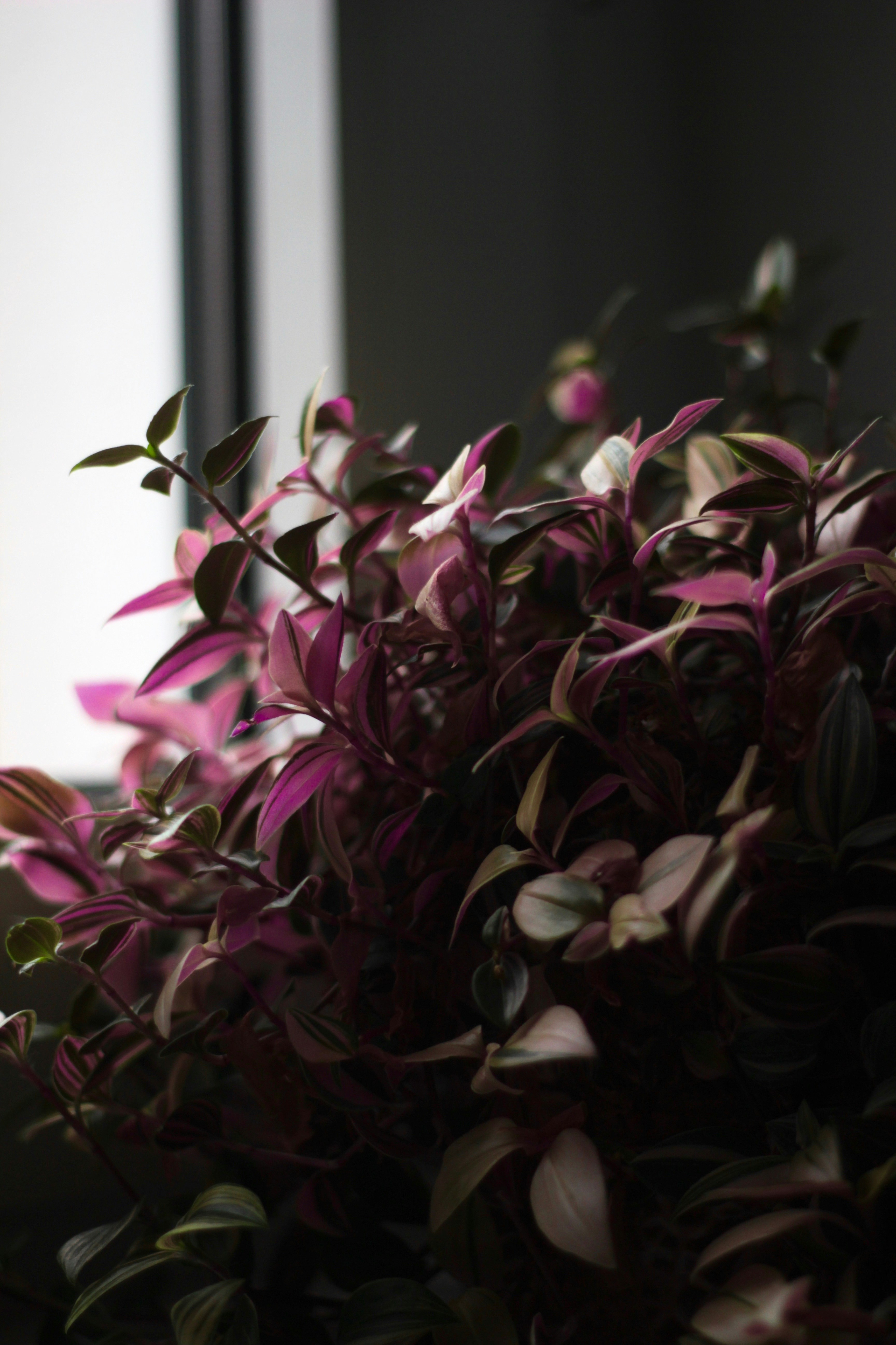 Photo by chris_maquinista