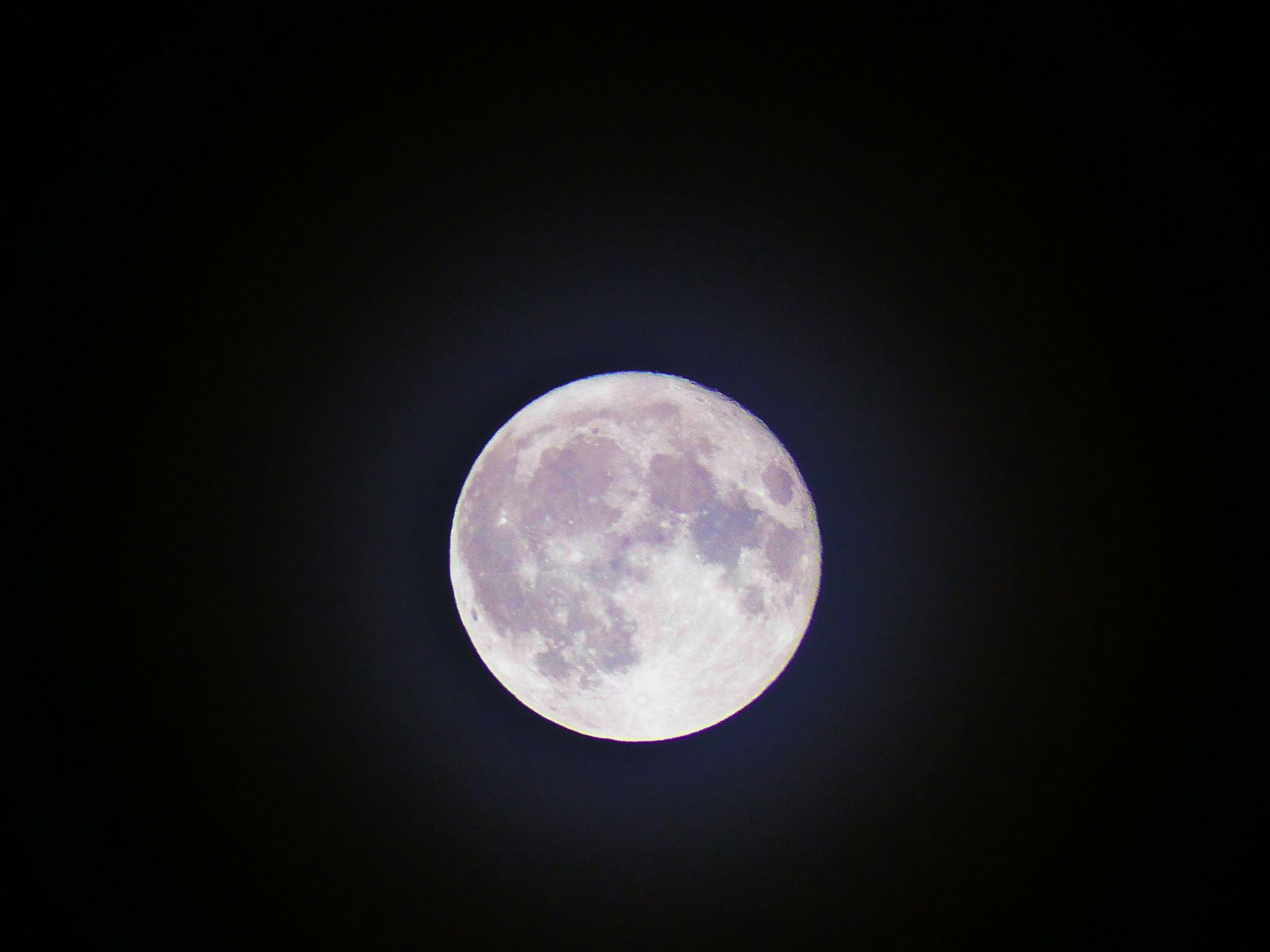 The Mysteries of Our Celestial Neighbors