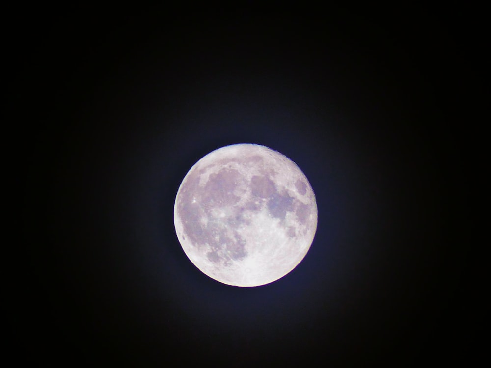 550+ Full Moon Pictures  Download Free Images on Unsplash