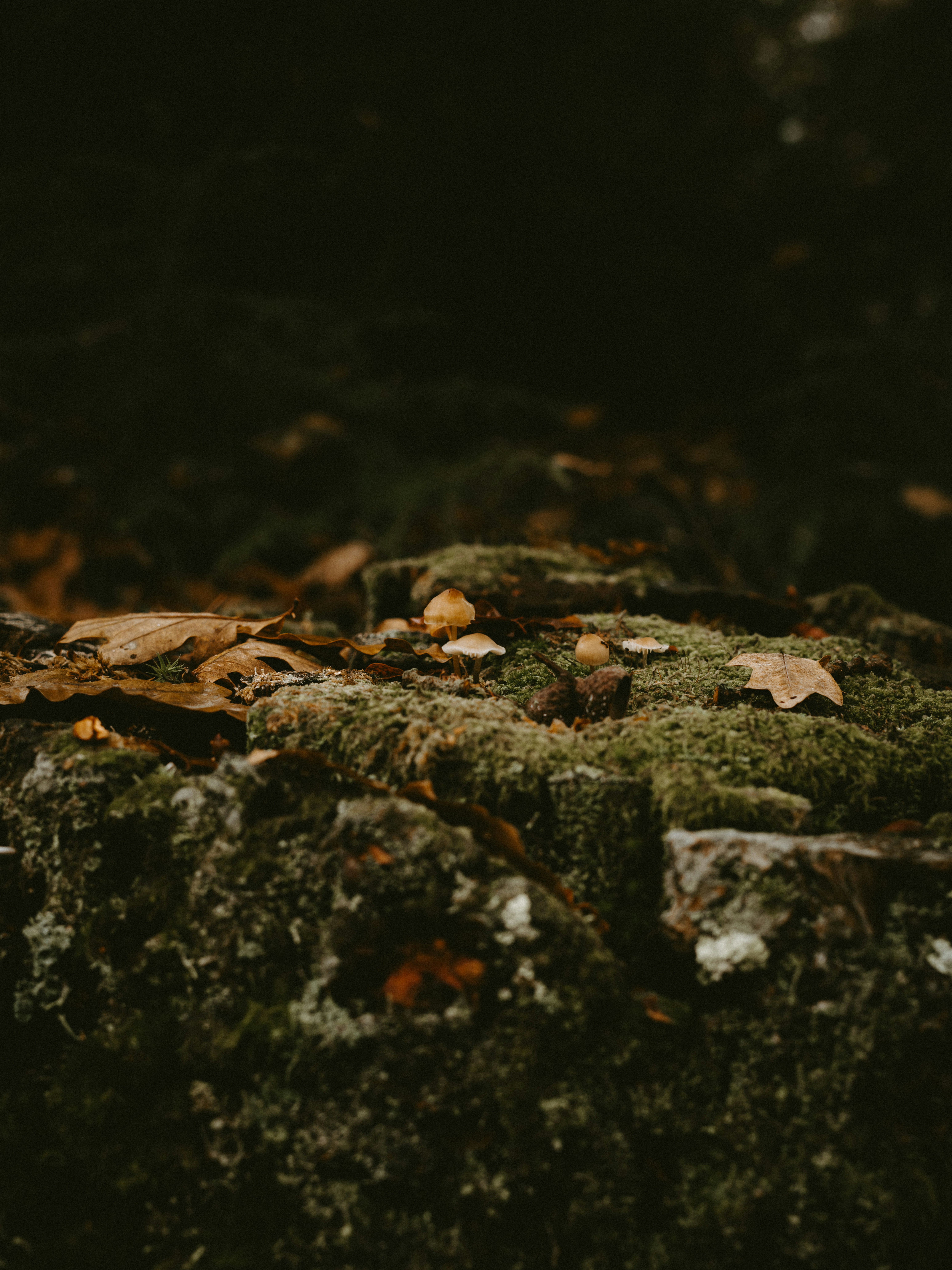 Photo by anniespratt