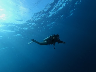 person diving underwater