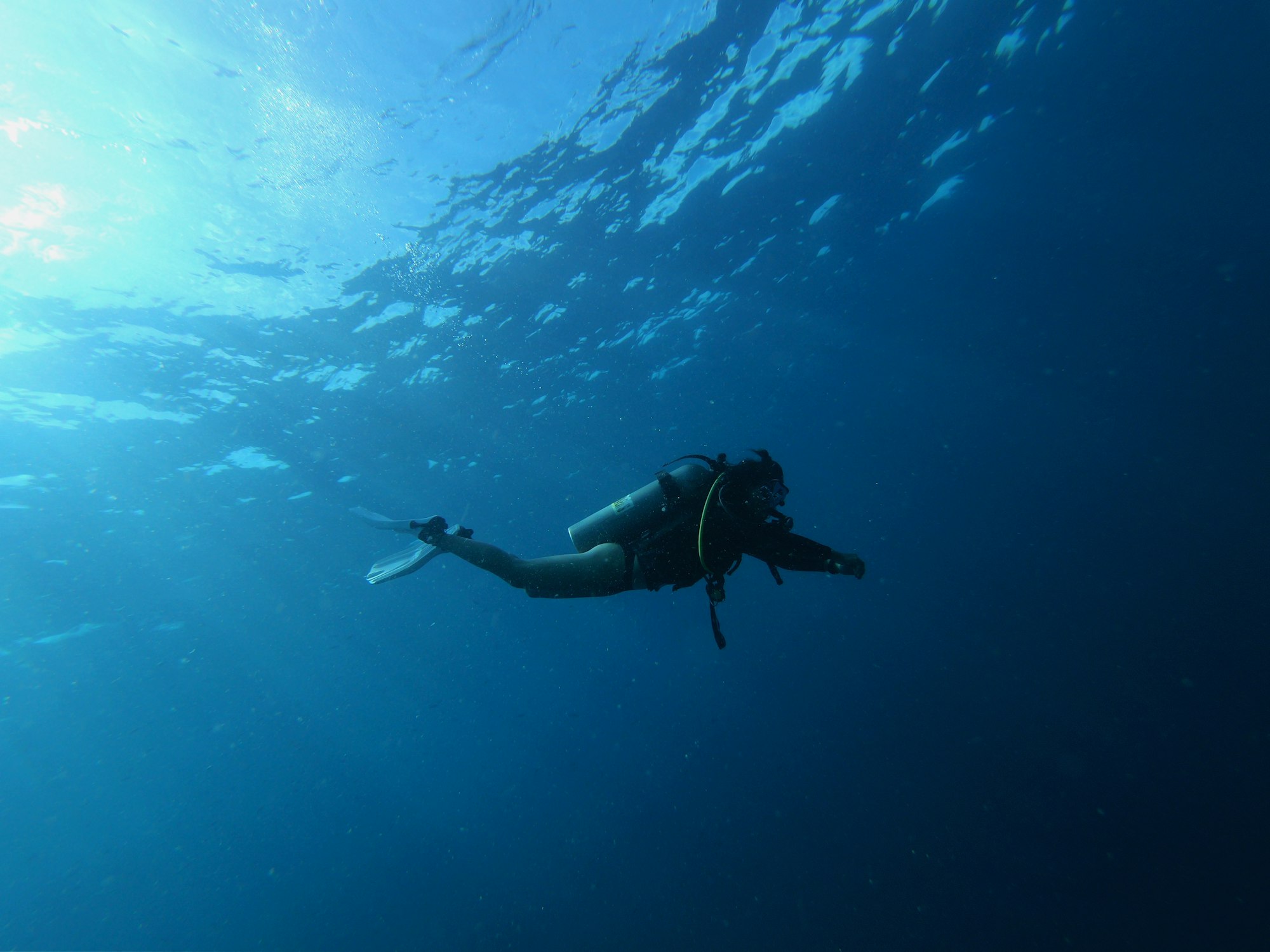 Scuba Diver Finds Something Incredible