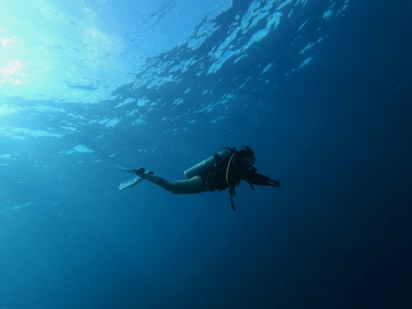Person diving underwater