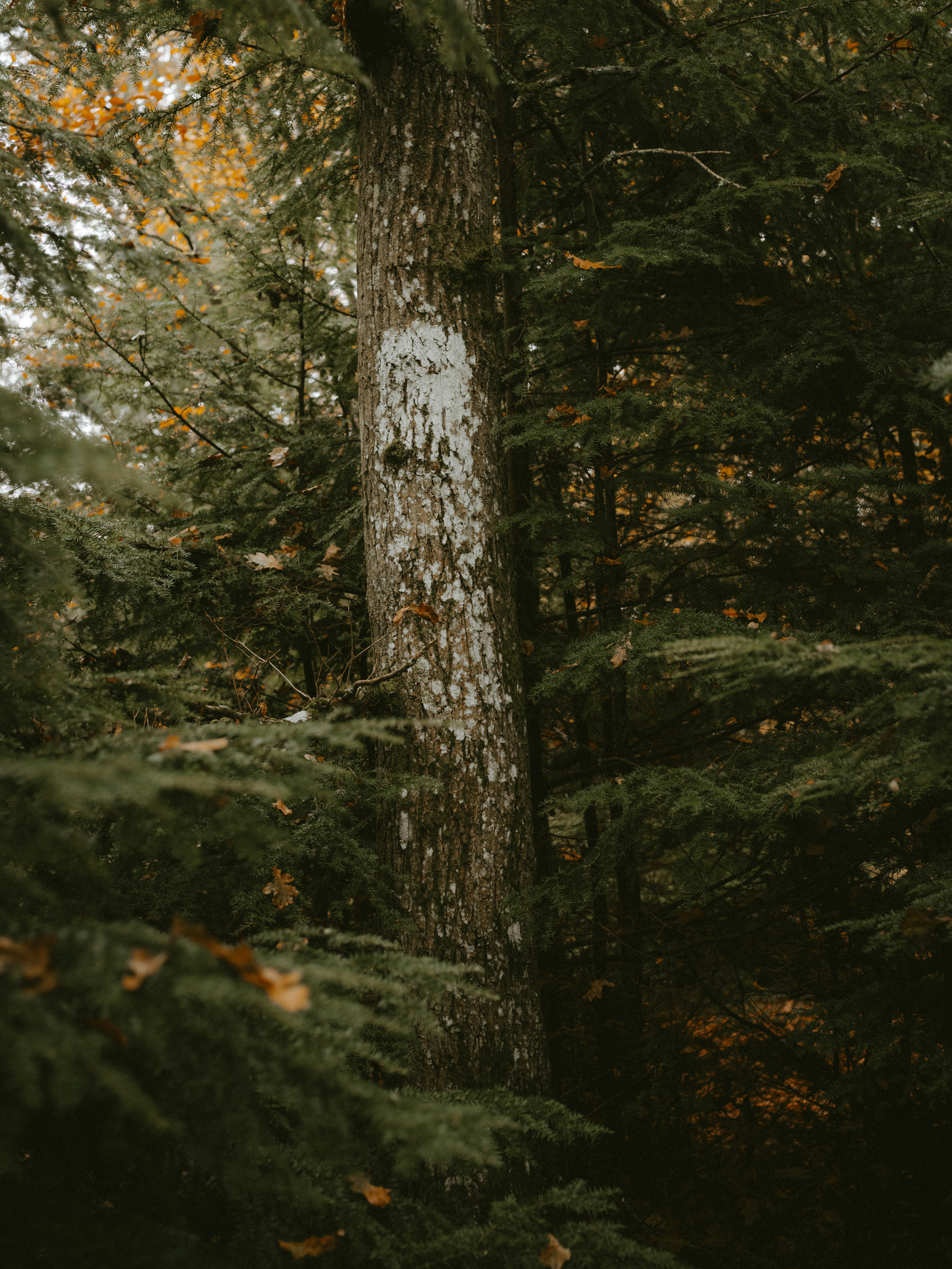 Photo by anniespratt