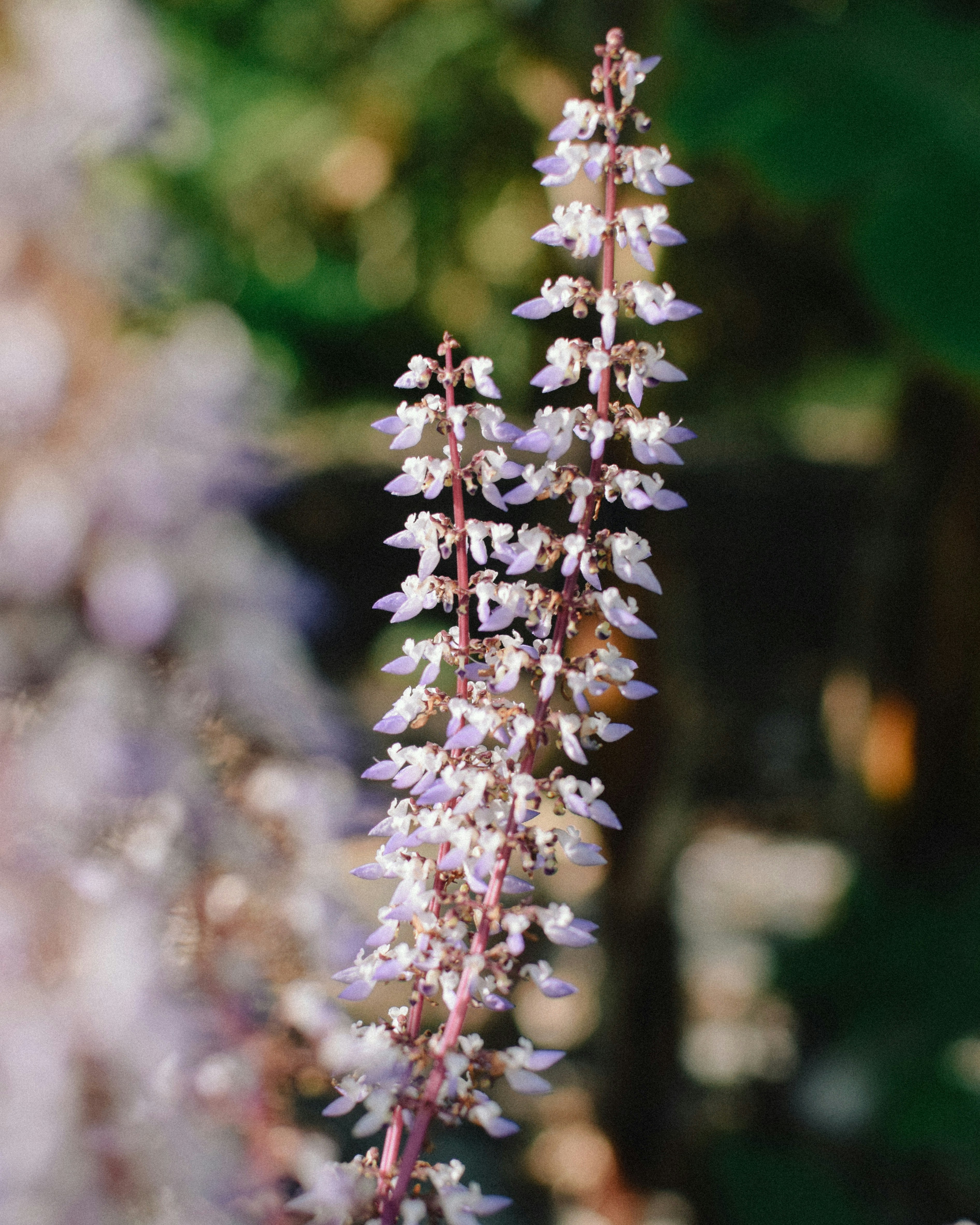 Photo by abyanathif
