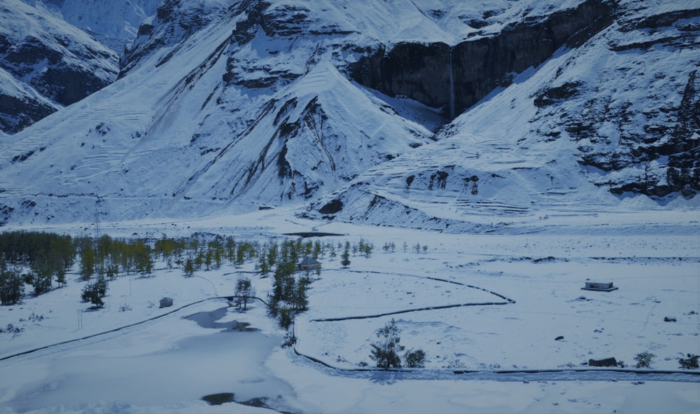 snow-covered field