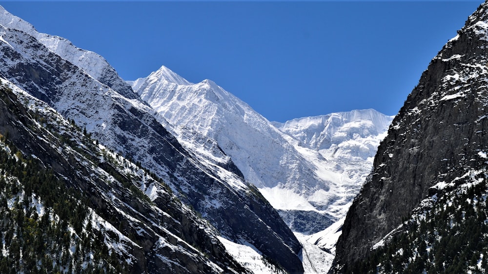 low angle photo of mountains