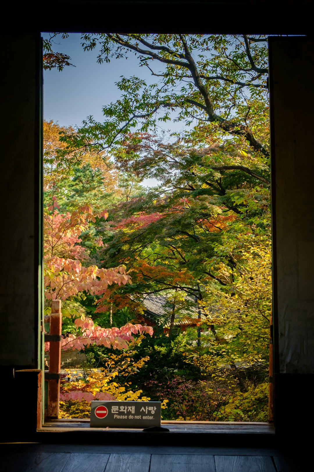 green trees during daytime