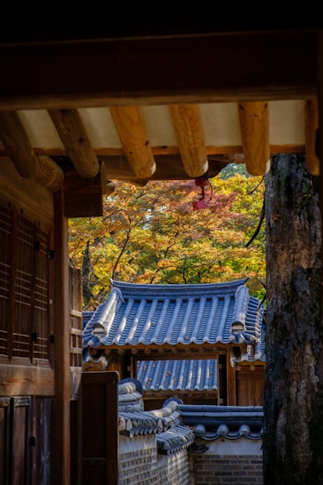 A traditional Korean building with a tiled roof is framed by wooden beams and a tree trunk. The roof tiles are blue-gray and complement the autumn foliage in the background with shades of orange, yellow, and green. The composition creates a sense of depth and tranquility.