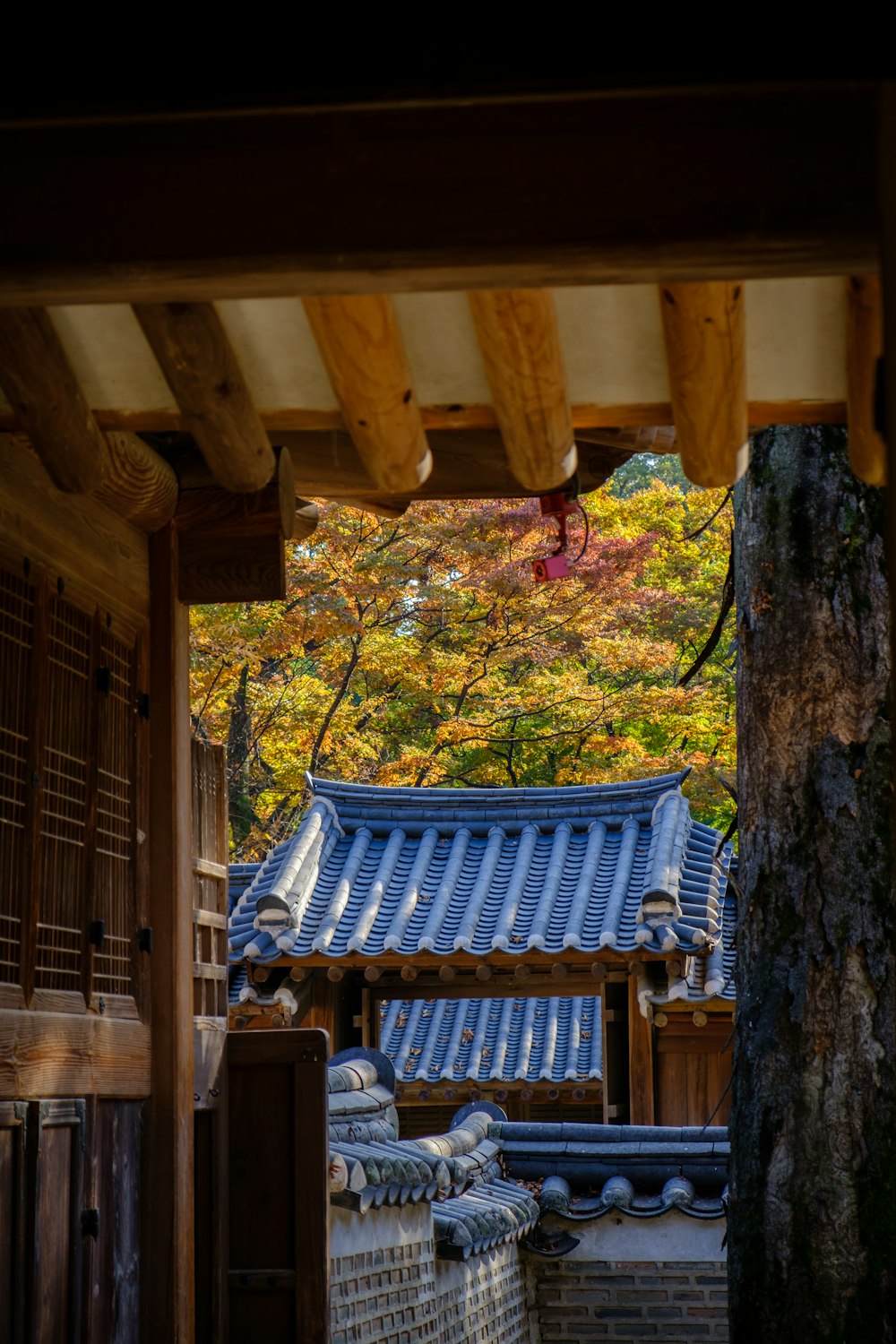 gray and brown wooden house beside trees during daytime