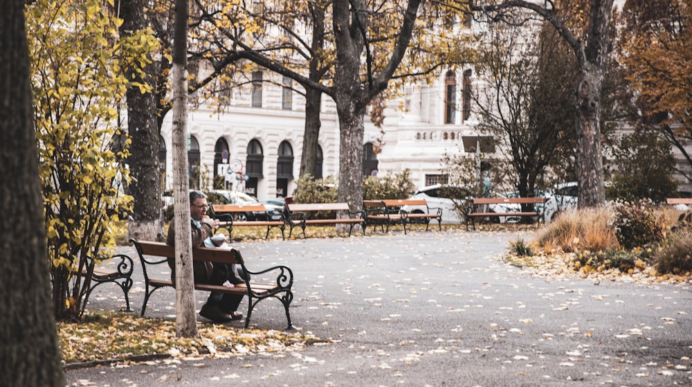 man sitting on bench