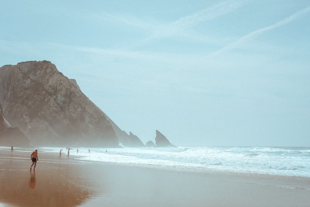 people walking on seashore during daytime