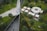 An aerial view of a public park featuring a geometric design with intersecting pathways, grassy areas, and scattered trees. A circular structure with several canopies serves as a seating and dining area. People are walking, sitting, and enjoying the outdoor space.