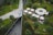 An aerial view of a public park featuring a geometric design with intersecting pathways, grassy areas, and scattered trees. A circular structure with several canopies serves as a seating and dining area. People are walking, sitting, and enjoying the outdoor space.