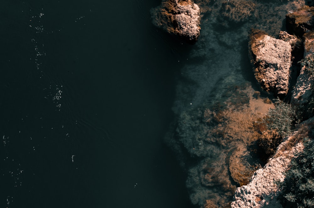 coastal rocks during daytime