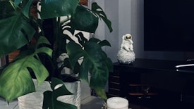 A large potted plant with broad, lush green leaves sits in a white textured pot. Next to it, on a dark surface, is a small figurine of an astronaut resting on a moon-like sphere. In the foreground, a white candle is visible. The background includes a dark-colored television and a subtle striped wall.
