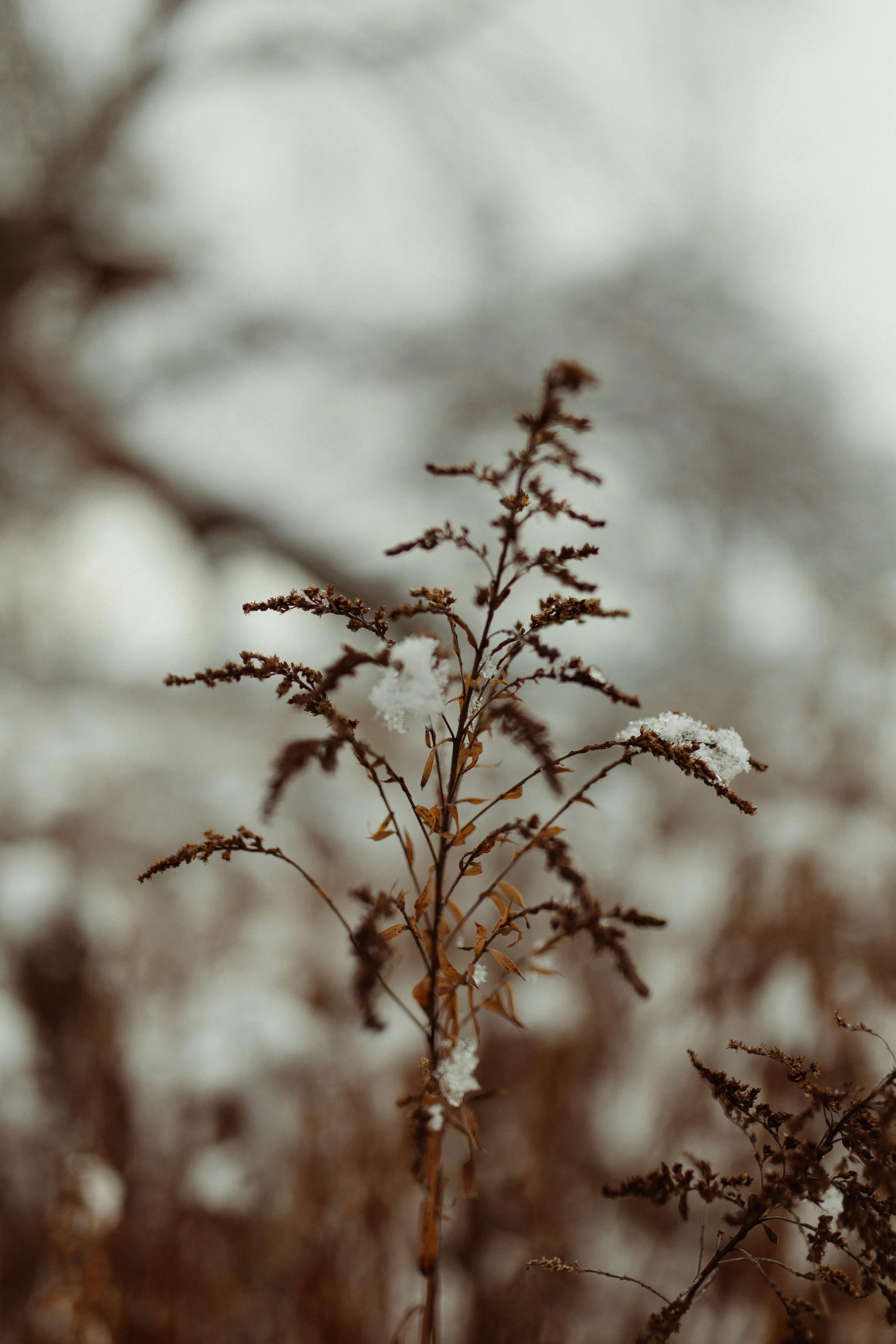 Photo by janitaohara