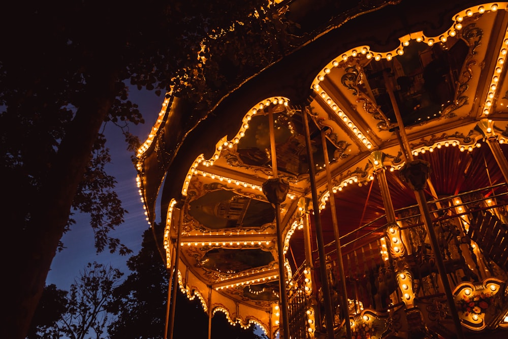lighted carousel in front of silhouette of tree