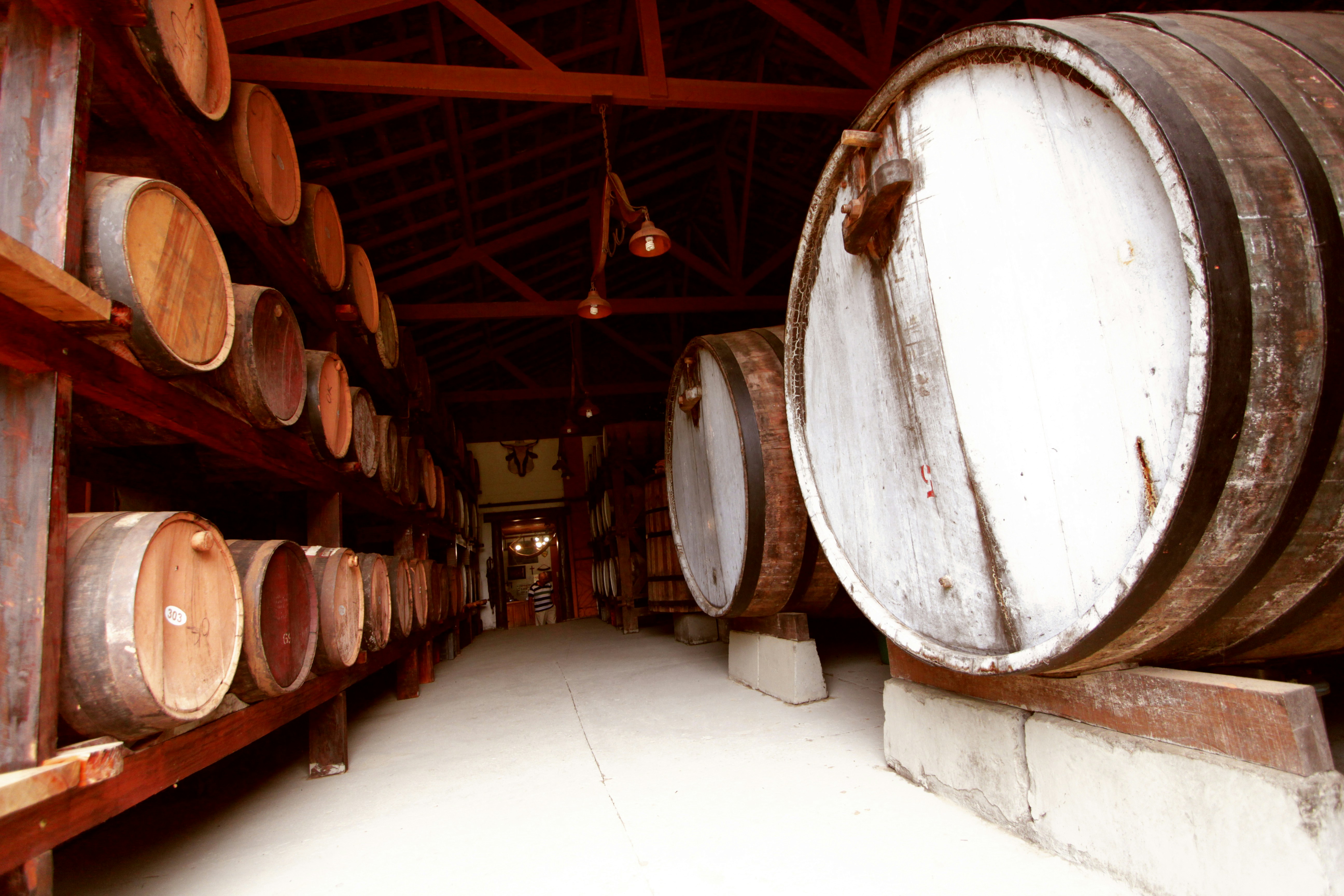 Rustic Catalan bar with wooden barrels, tiled walls, and warm amber lighting