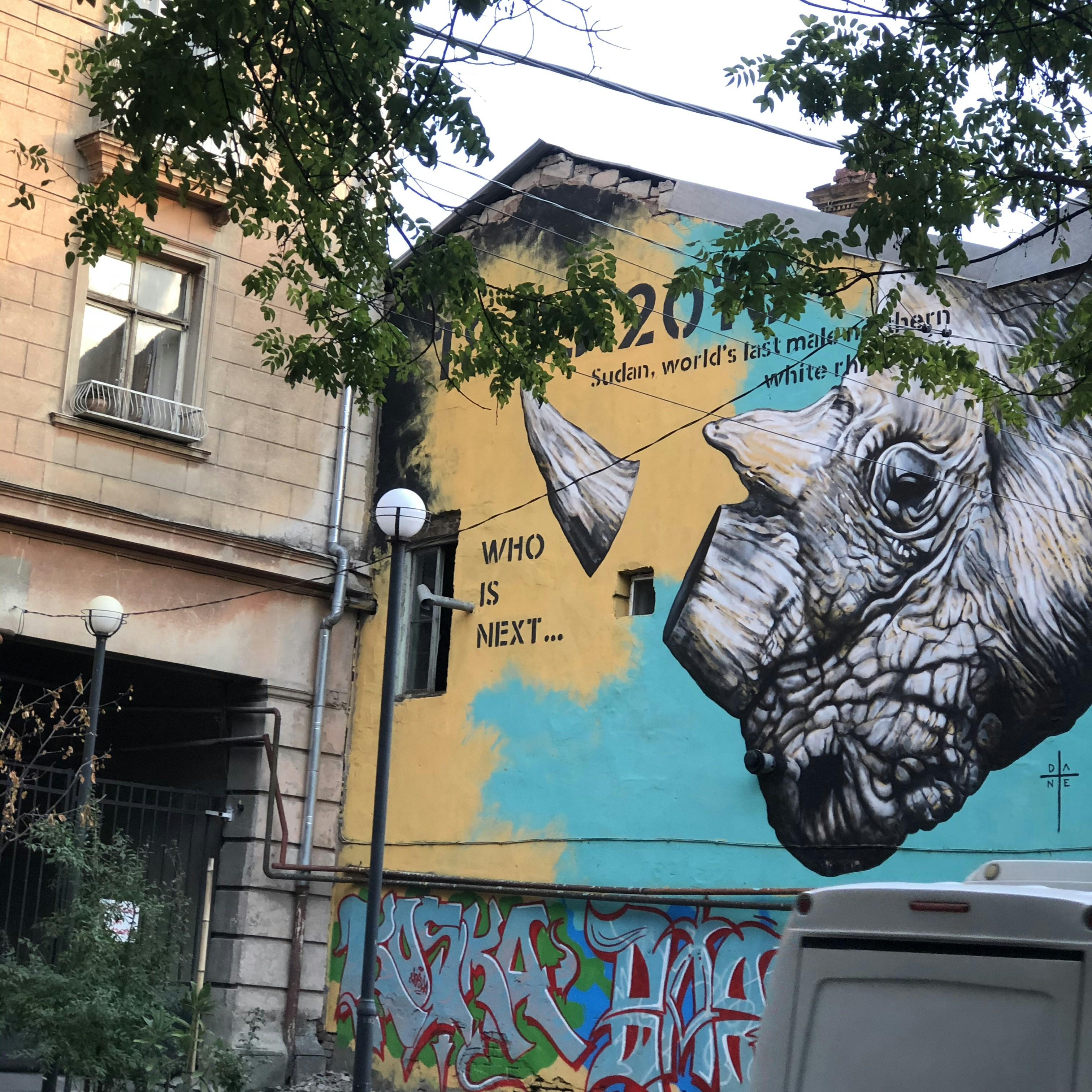 Multicolored Dragon Graffiti Art On Concrete Wall Photo Free Graffiti Image On Unsplash