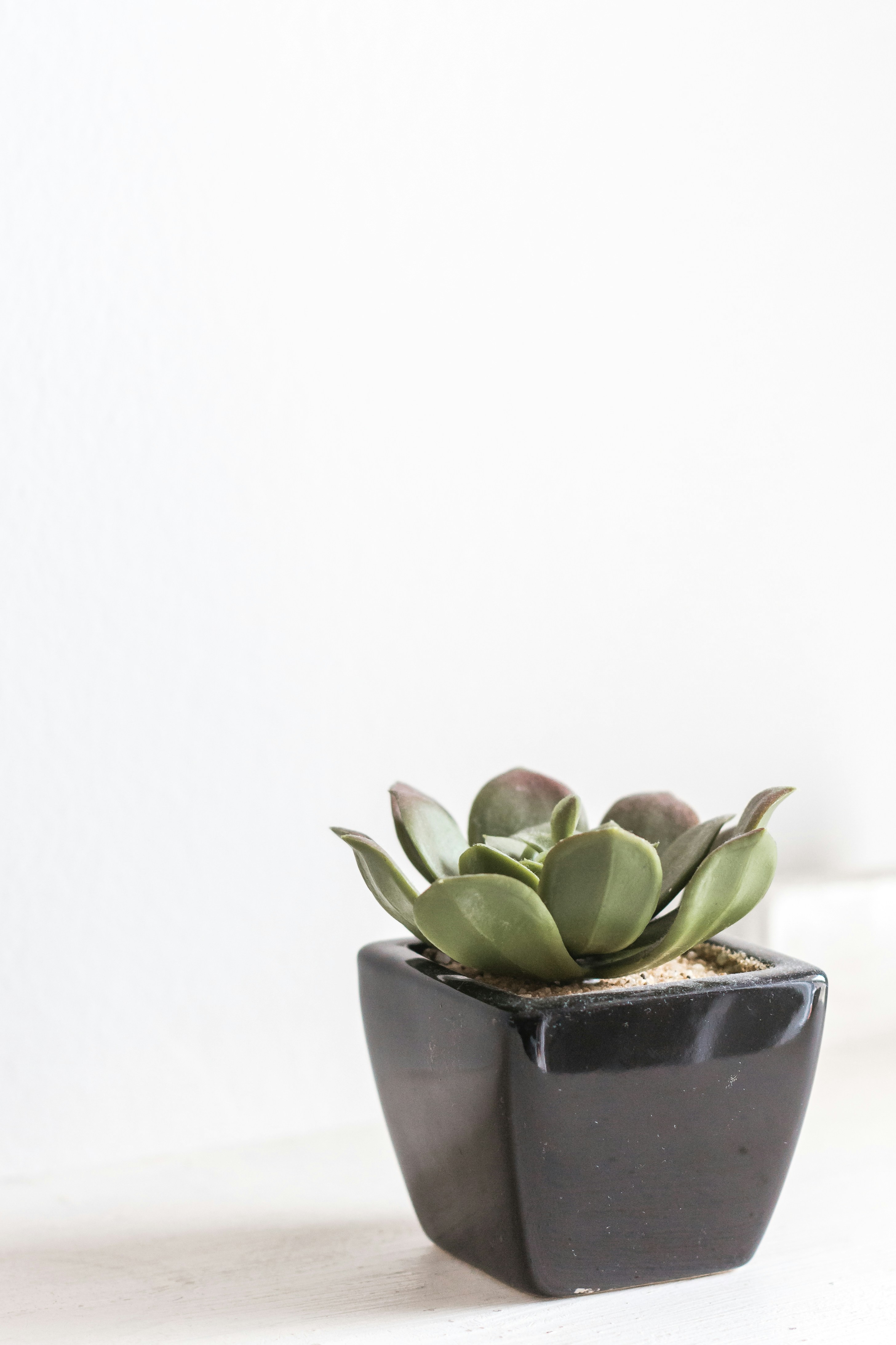 Photo by sincerelymedia