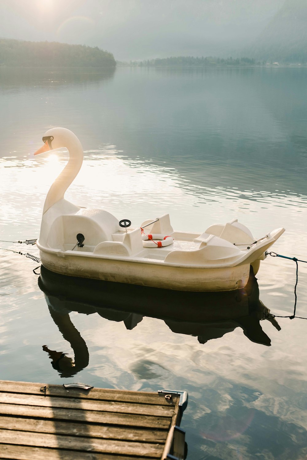 white mute swan pedal boat on calm water of river