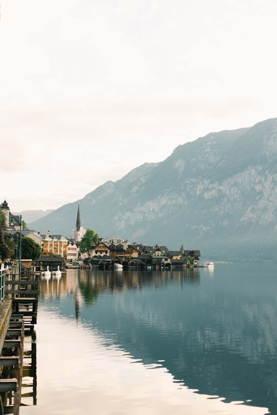 Bad Goisern lake in Australia during daytime in Hallstatt Austria Austria