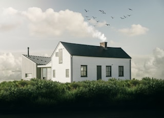 birds flying above white and gray house during daytime