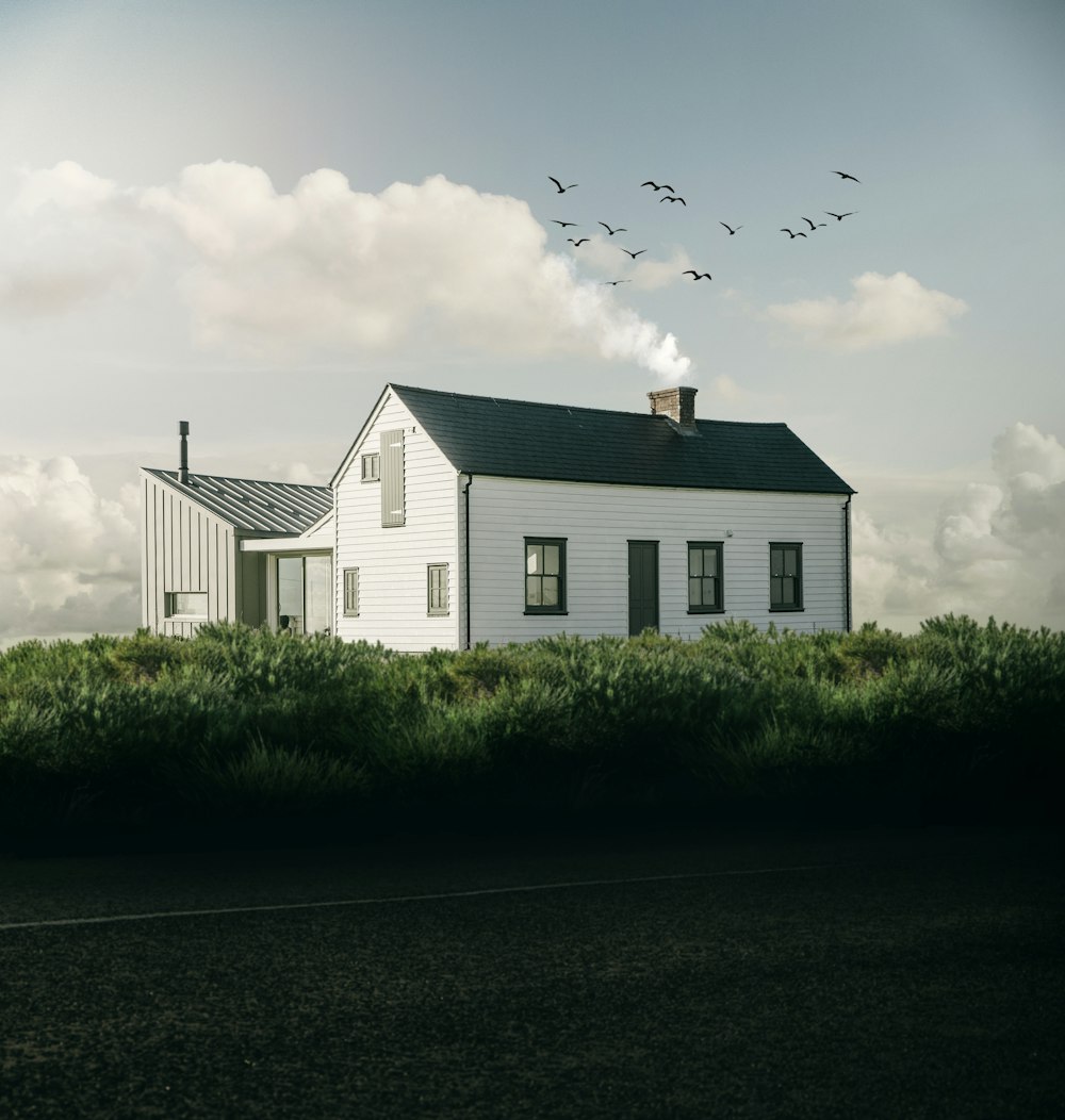 birds flying above white and gray house during daytime