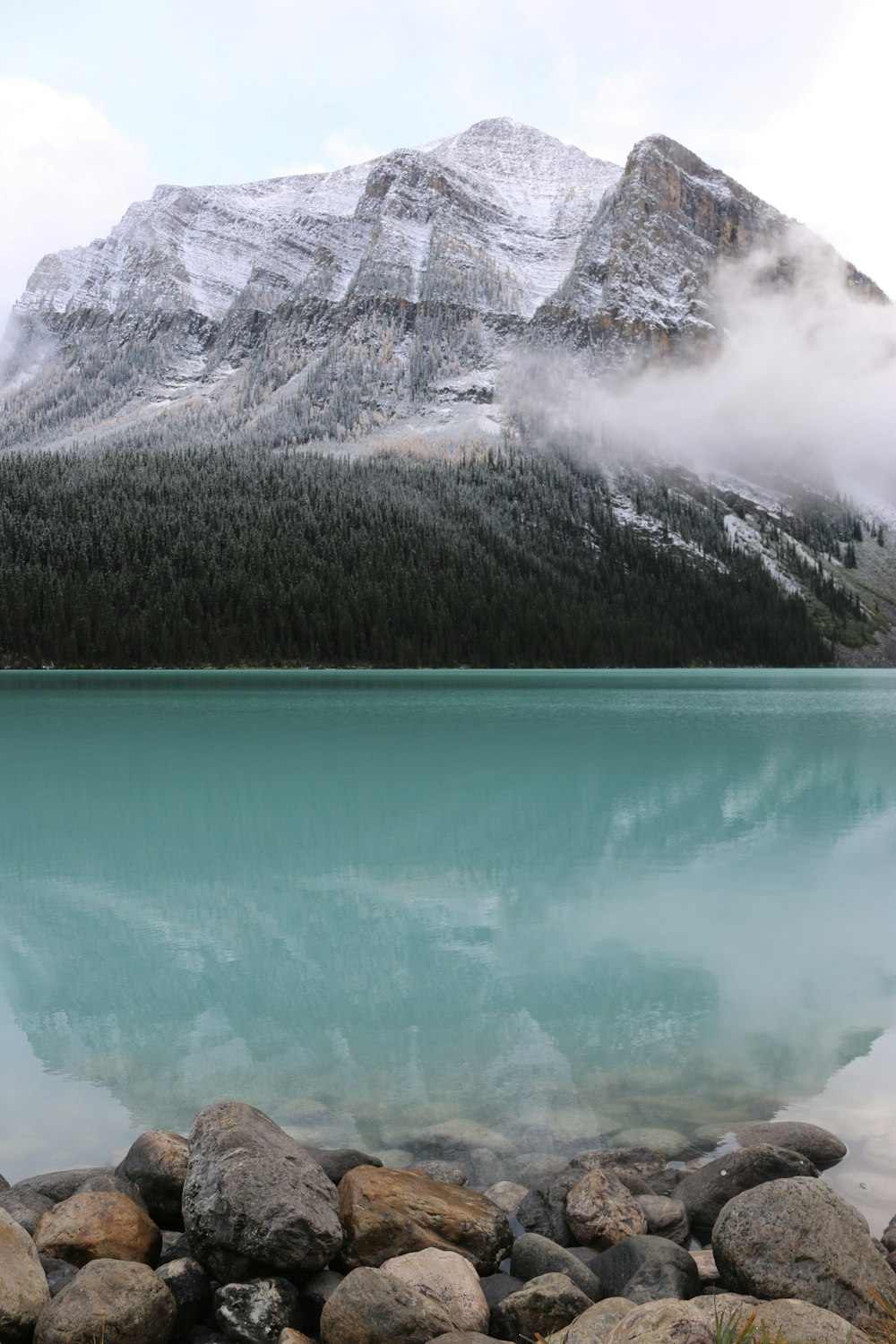 lake surrounded by trees