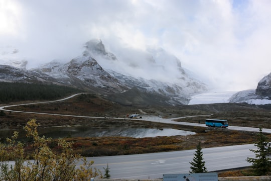 blue bus on road in Icefields Parkway Canada