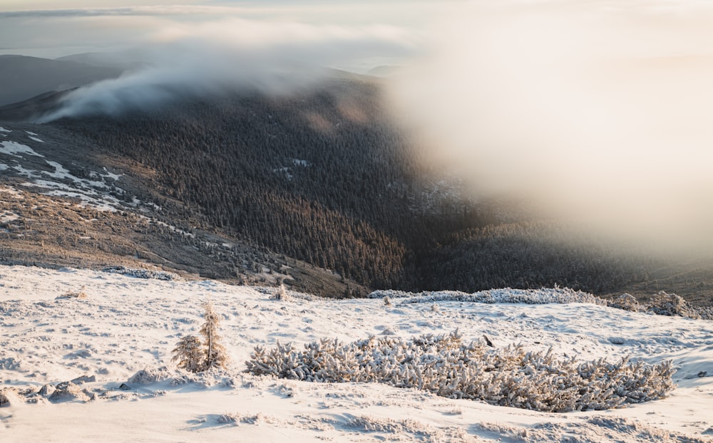 aerial photography of field covered with snow viewing mountain