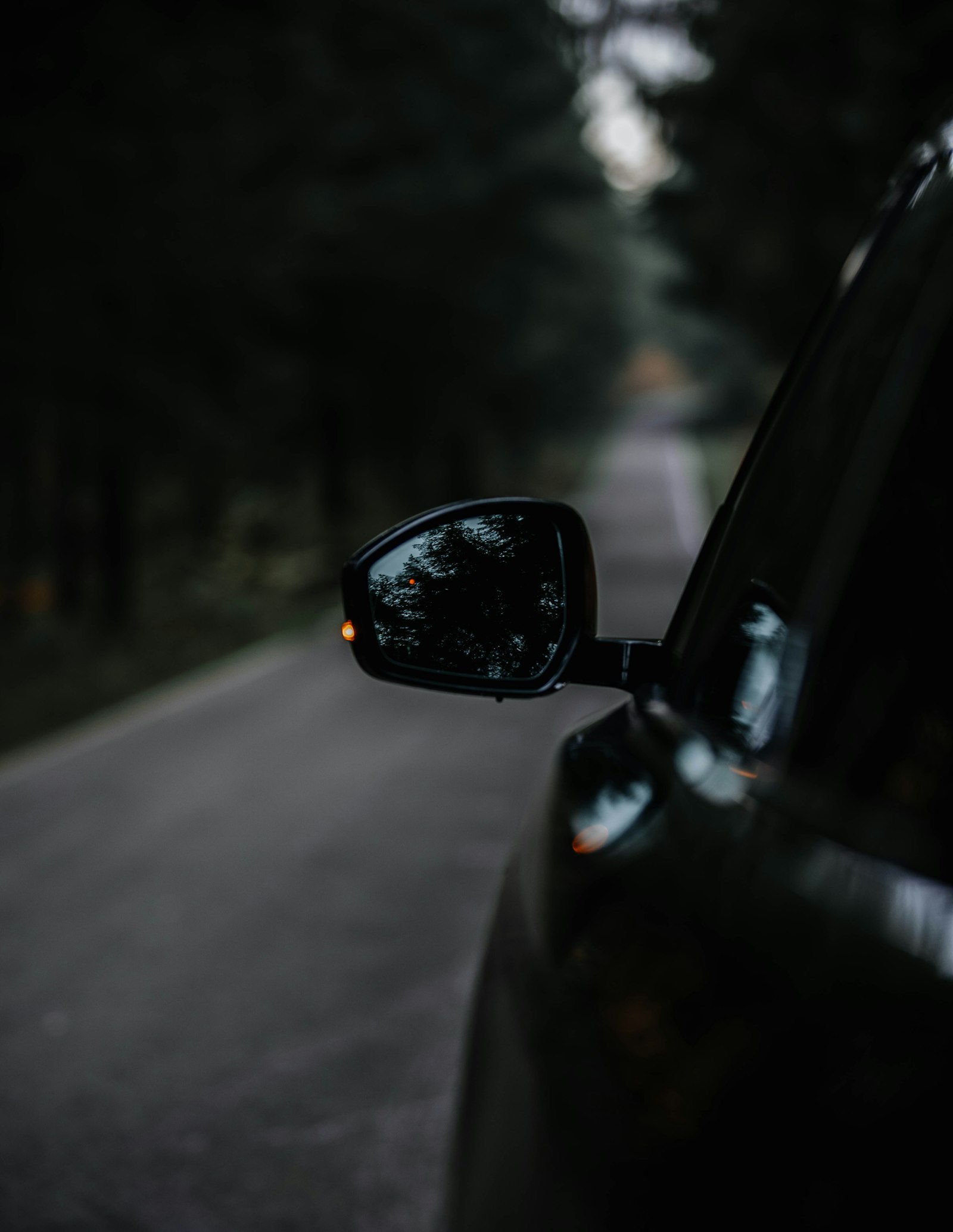 Sony a7 III + Sigma 70-200mm F2.8 EX DG HSM APO Macro sample photo. Vehicle side mirror photography