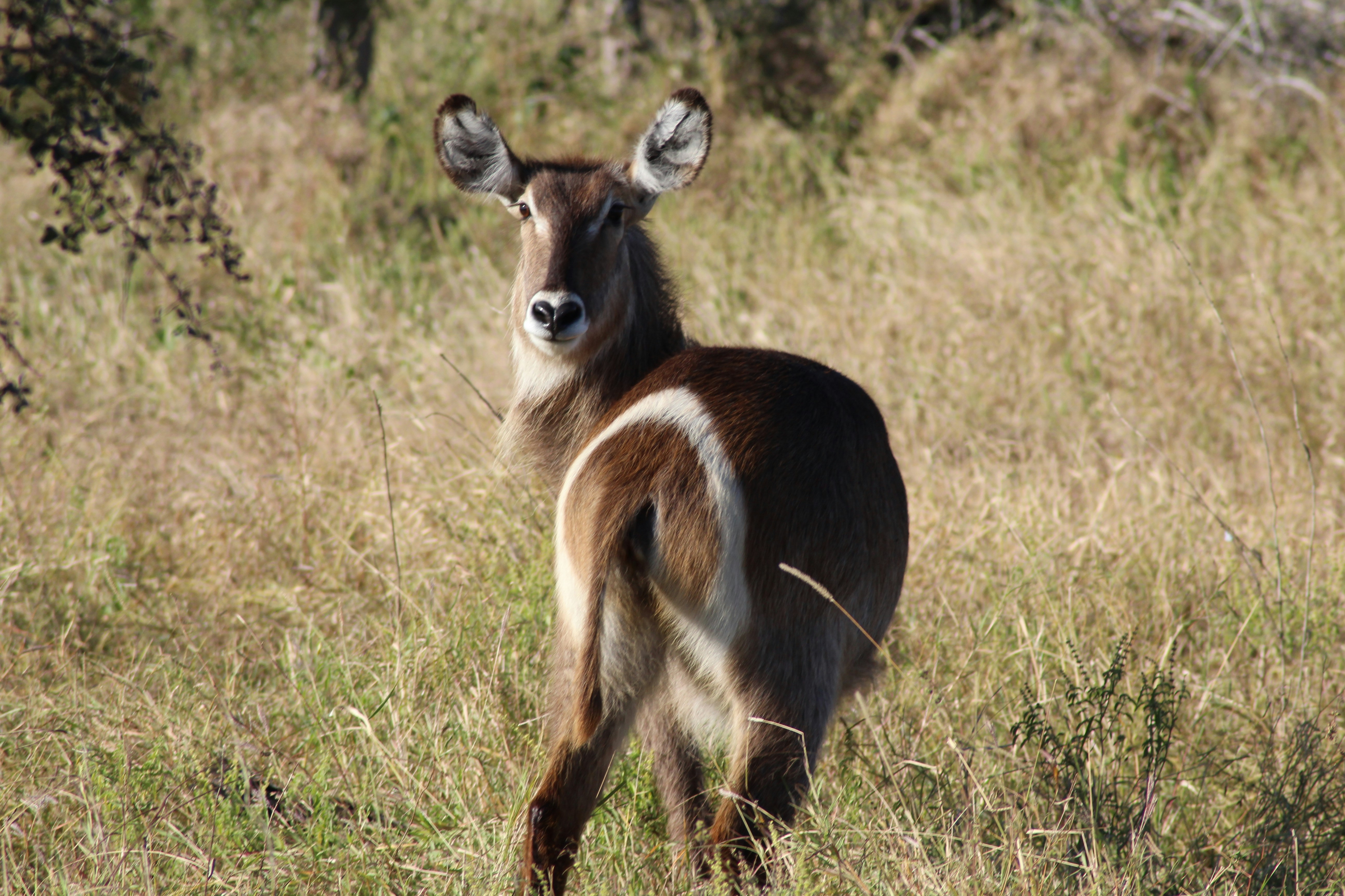 Photo by maeliafaust