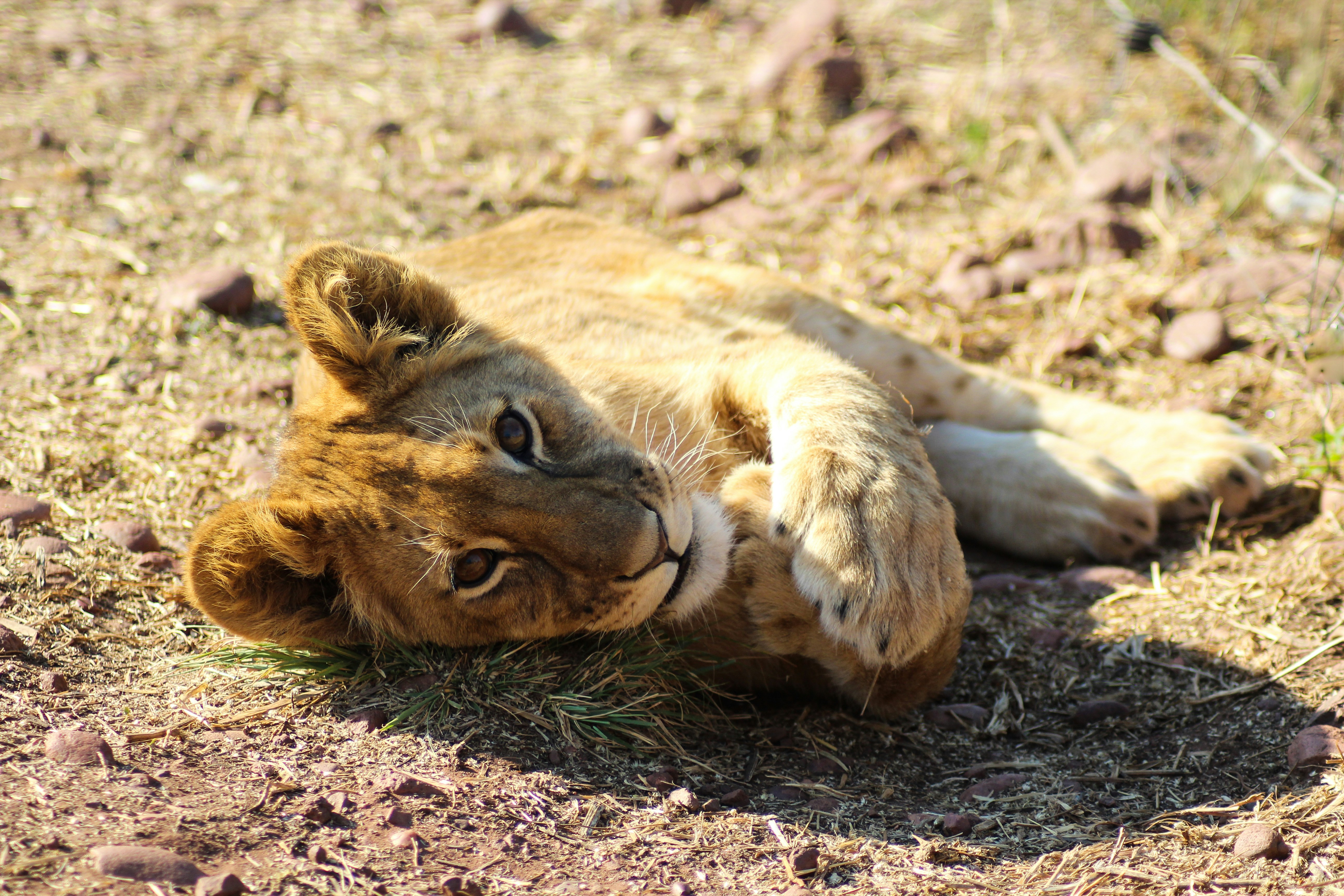 Photo by maeliafaust