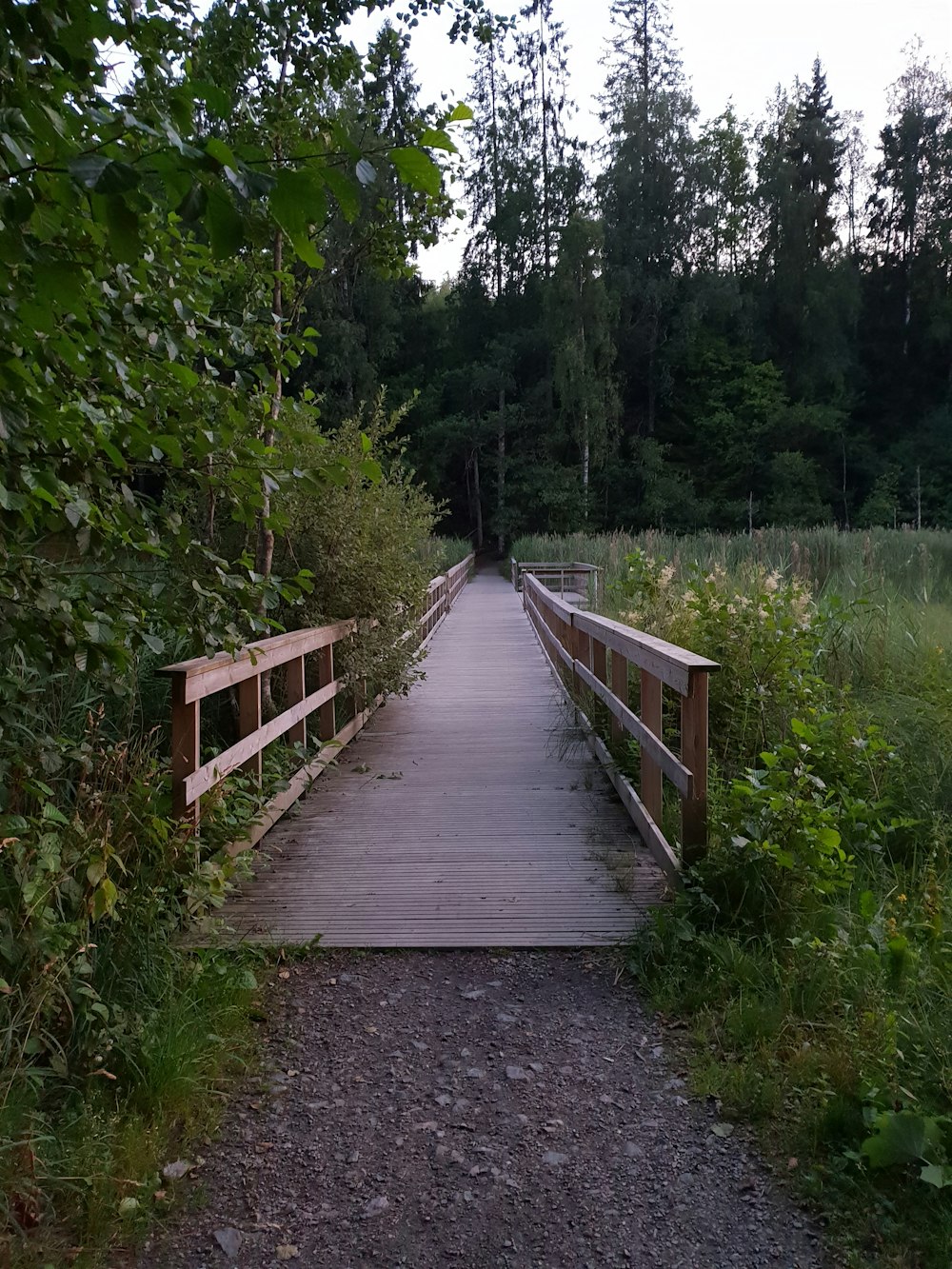 Braune Holzbrücke neben Bäumen tagsüber